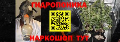 сатива Малгобек