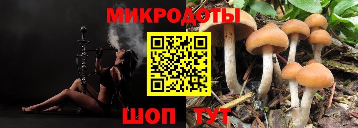 Галлюциногенные грибы Magic Shrooms Ефремов